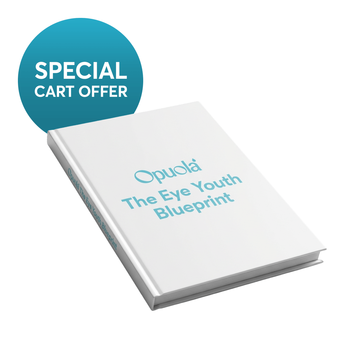 Opuola - The Eye Youth Blueprint Ebook